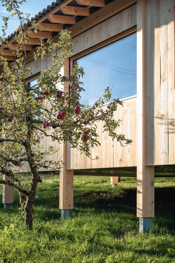 Pinjola Villa Vandans Exteriör bild